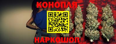 стаф Кулебаки