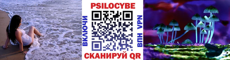 закладка  Волхов  Галлюциногенные грибы ЛСД 