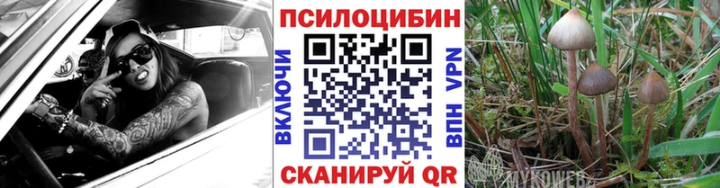 Псилоцибиновые грибы Psilocybine cubensis Волхов