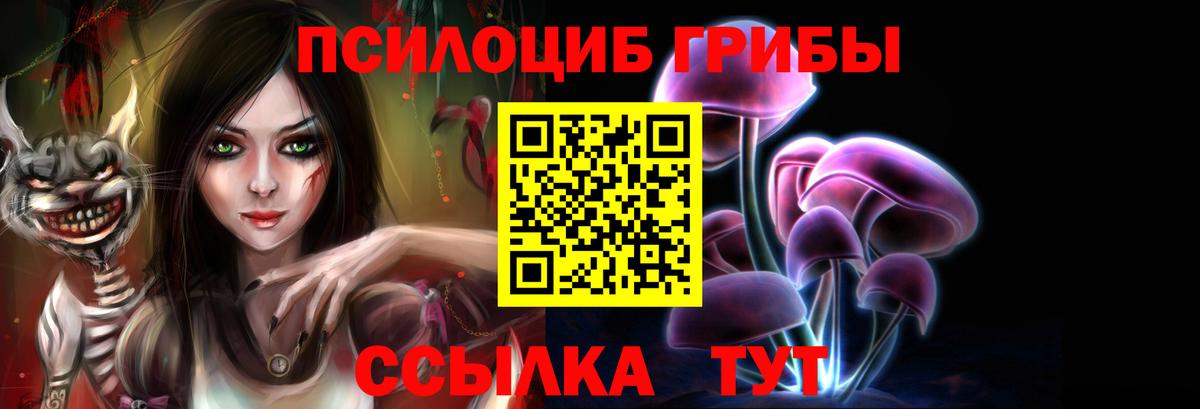 Галлюциногенные грибы Psilocybe Волхов