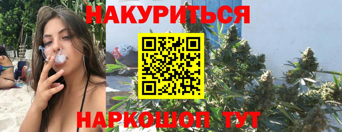 Каннабис гибрид Волхов